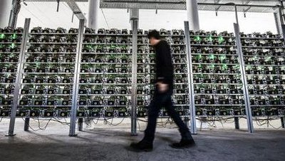 A sprawling view of a modern mining farm, showcasing the scale and organization of a professional hosting operation.