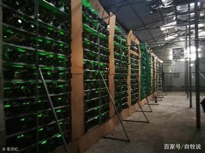 An expansive mining farm layout, illustrating the organized setup for housing multiple miners dedicated to cryptocurrencies like Bitcoin