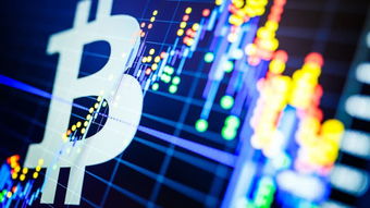 Bitcoin logo superimposed on a digital circuit board